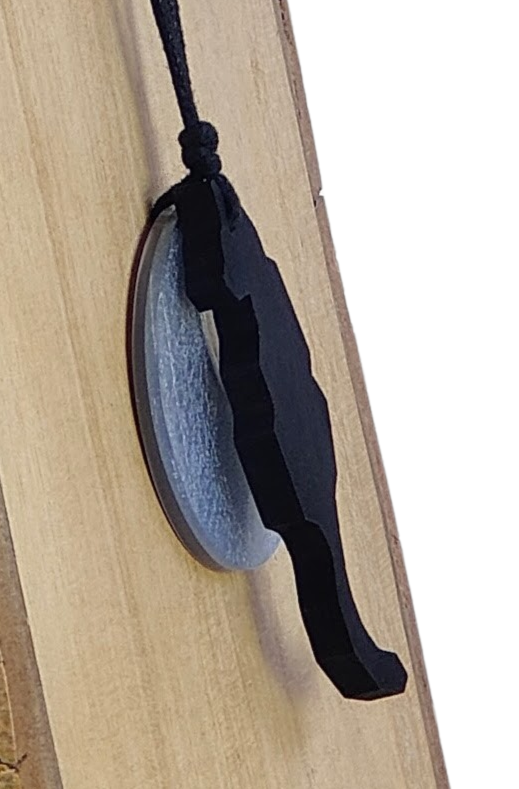 Collar gato